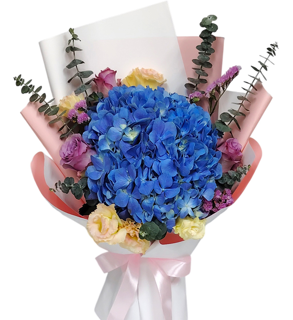 ABX9 Hydrangea Beauty