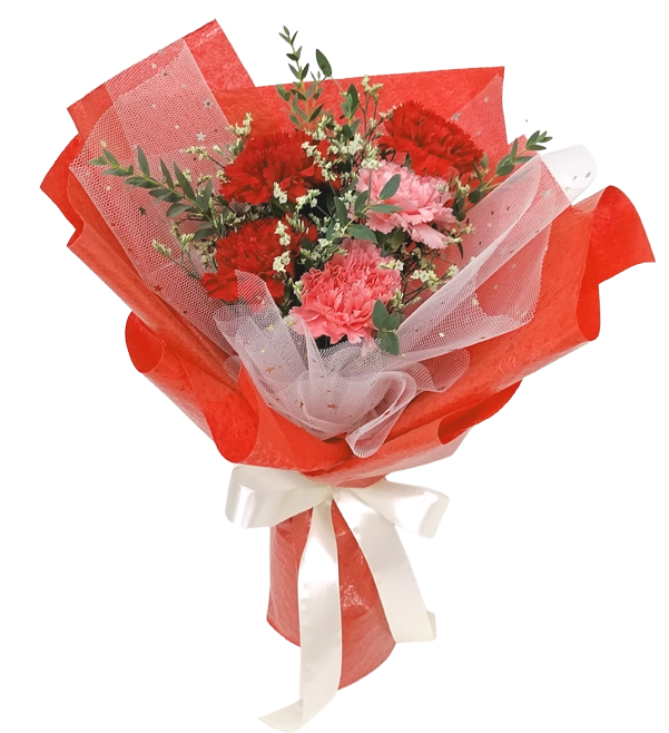 AM1 Lovely Carnations
