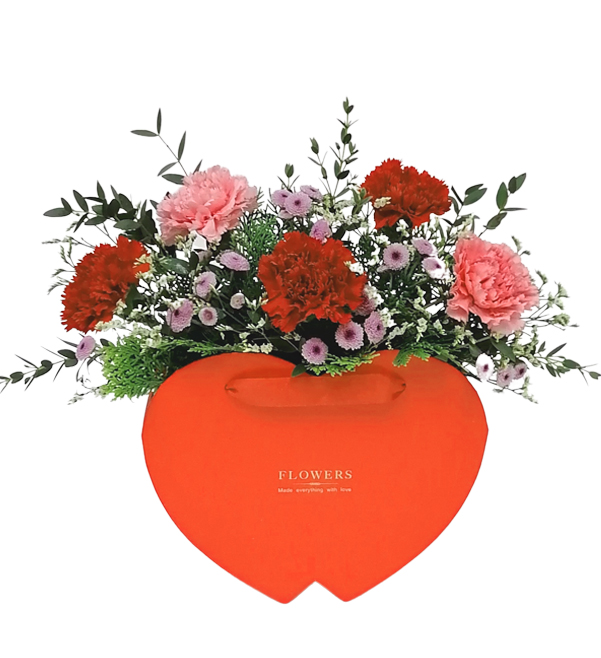 AM4 Lovely Carnations