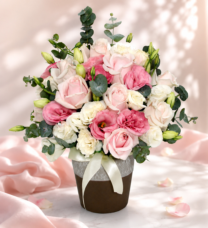 M9 My Roses